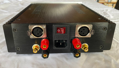 SPECIAL DEAL: MASCINI - 250W GaN Class-D Stereo Power Amplifier
